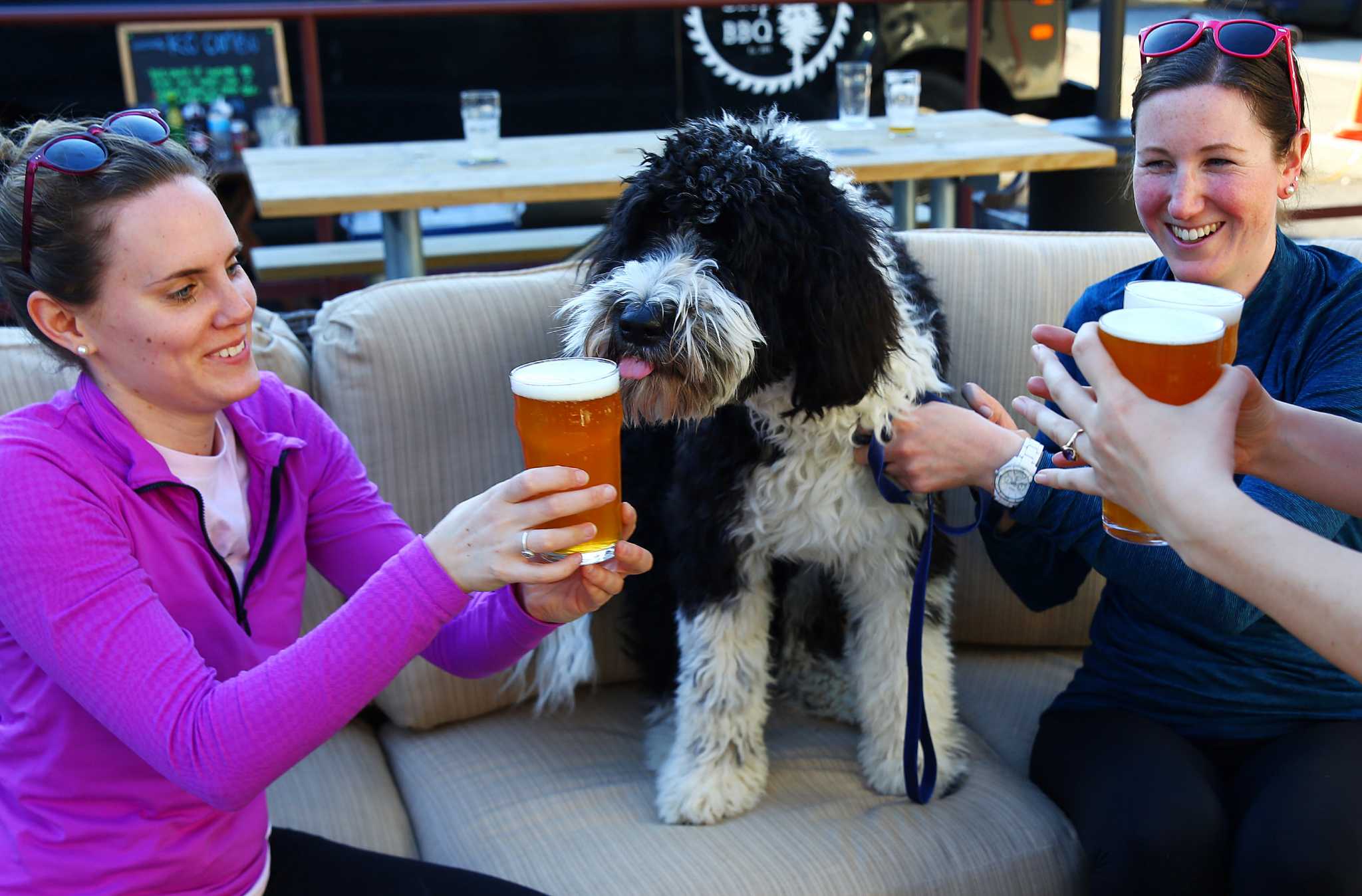 Seattle s Best Dog friendly Bars Restaurants And Cafes