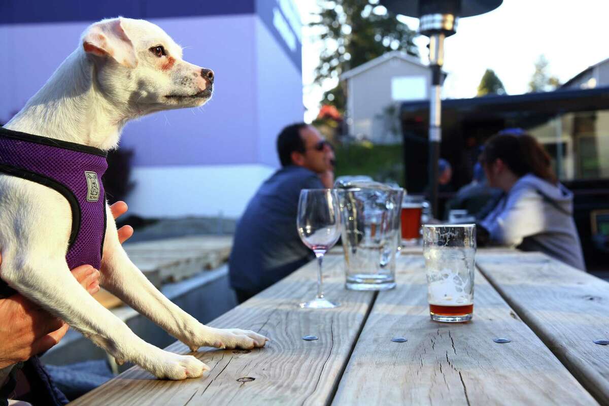 Are Dogs Allowed In Restaurants In Seattle