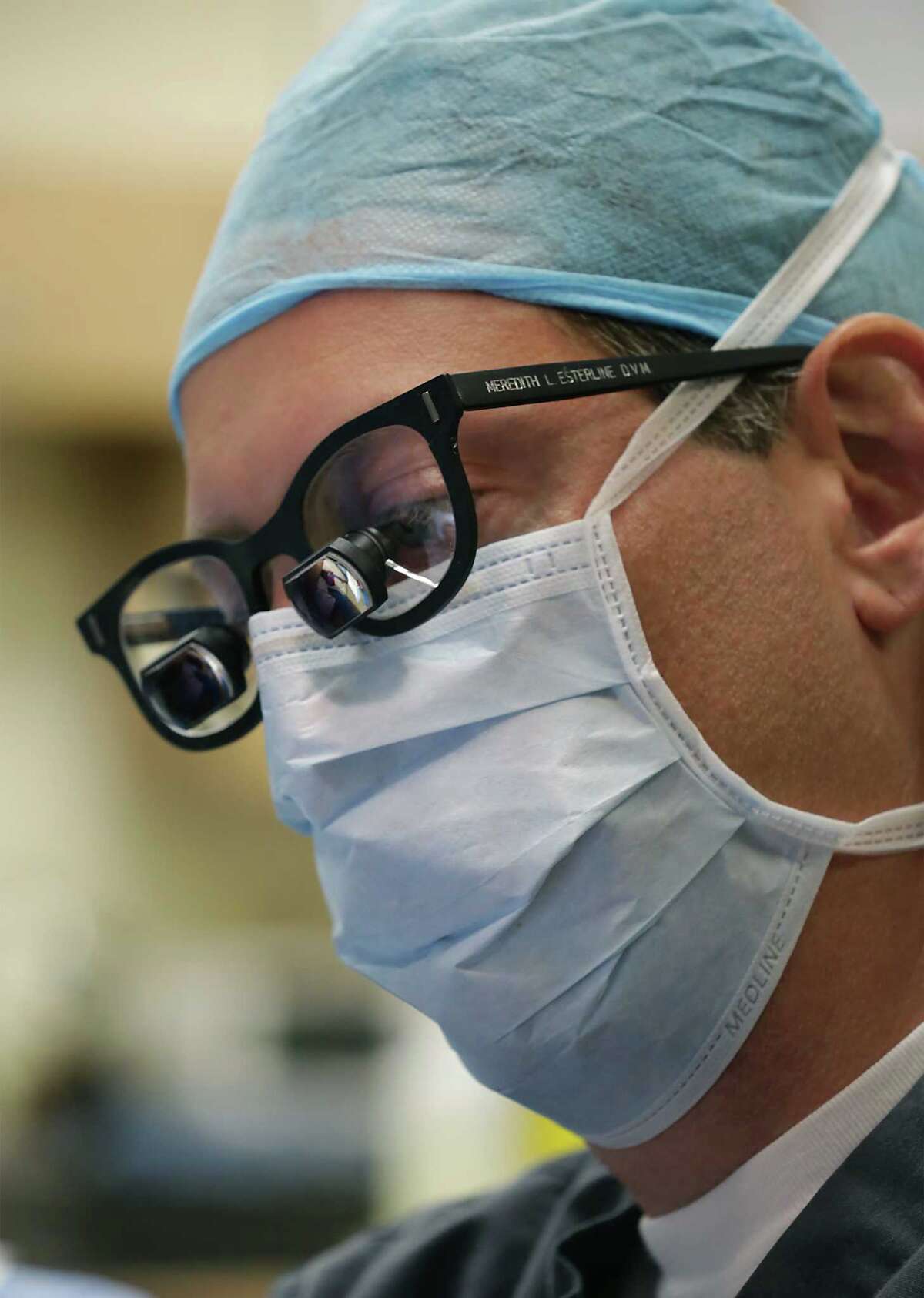 Veterinary eye specialists focus on more than domestic pets