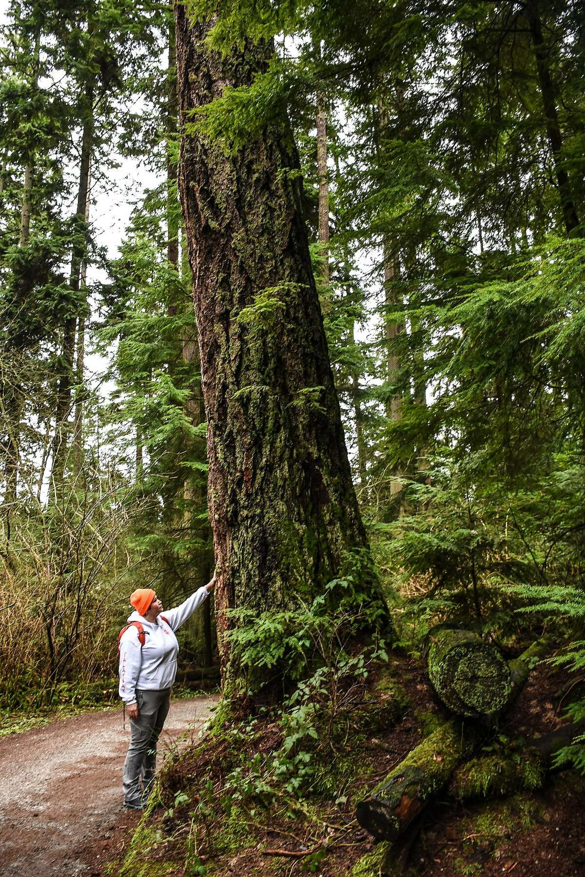 Seeing Vancouver through Aboriginal eyes