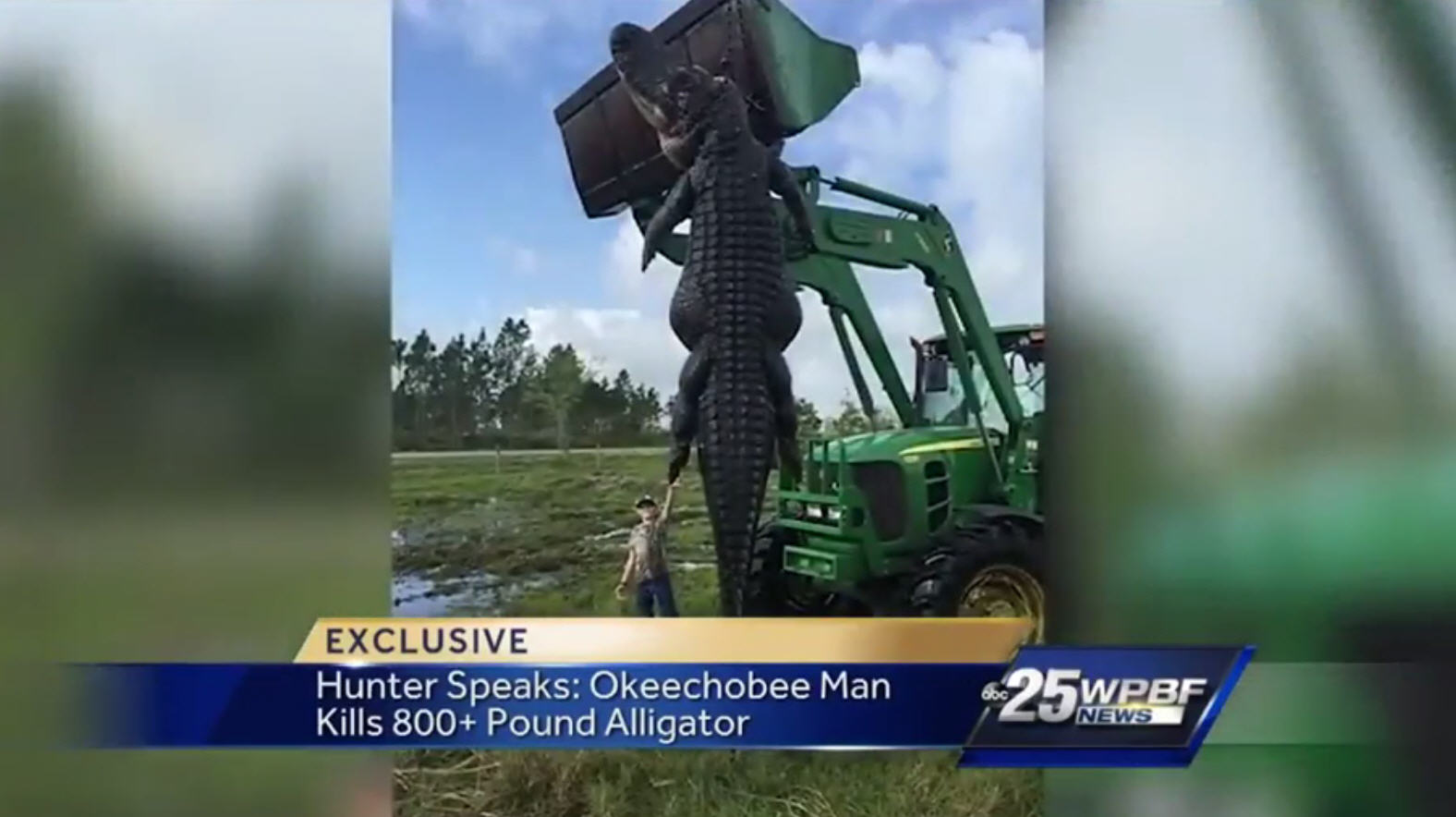 Florida Hunters Take Down 'monster,' Nearly 15-foot Alligator In Okeechobee