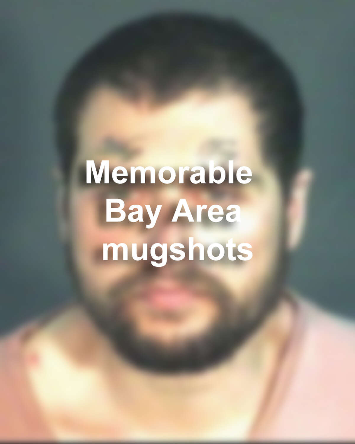 Bay County Mugshots 2025company Landing