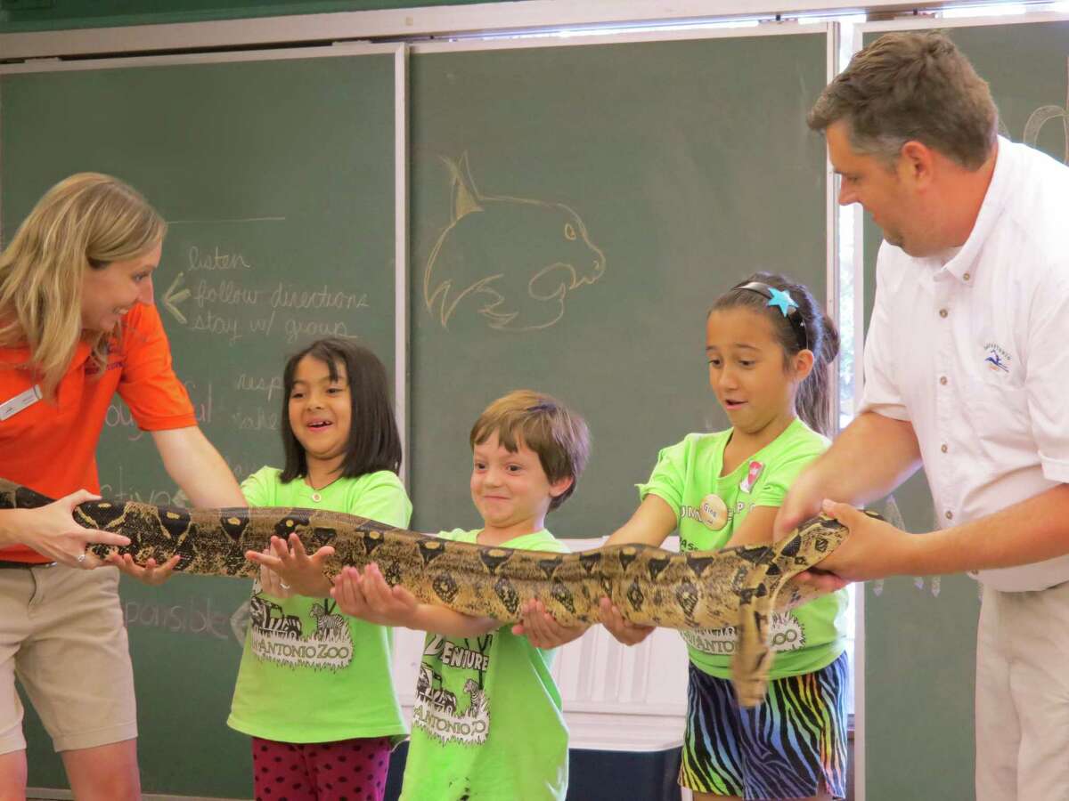 The San Antonio Zoo's summer camps include opportunities to get up-close with all sorts of creatures.