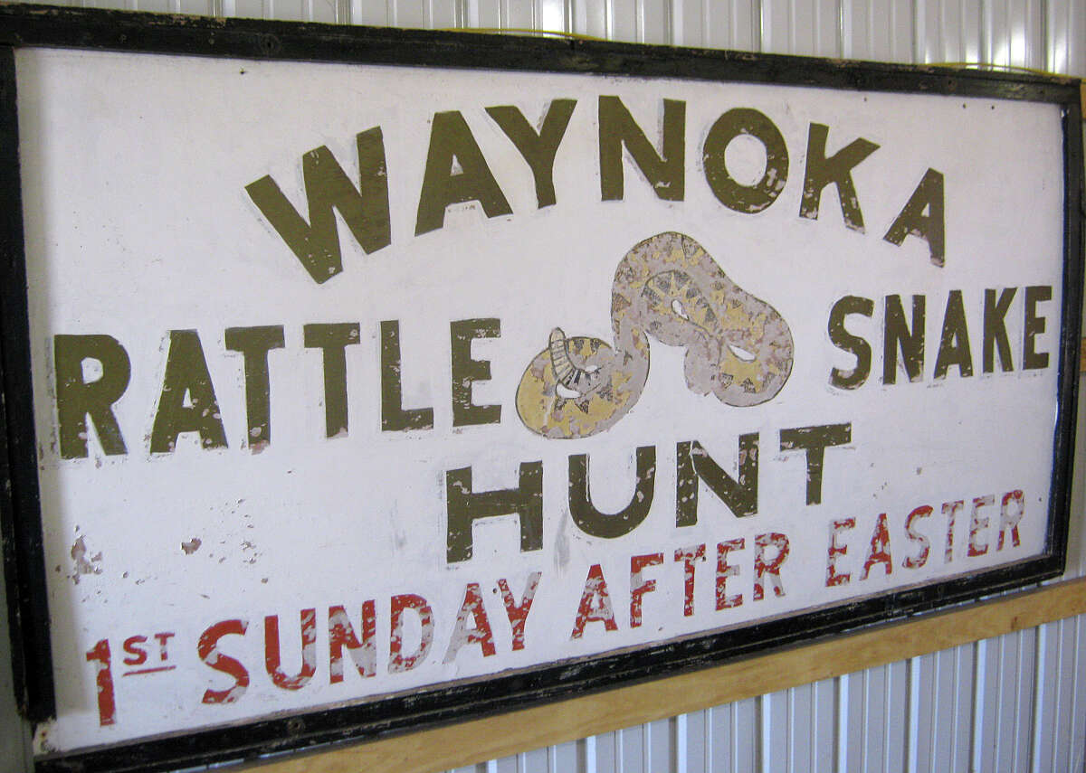 Experiencing smalltown Oklahoma's rattlesnake roundups