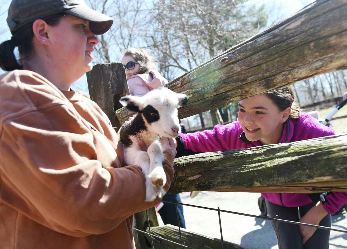 Kaylie Berghaus, 11, of Wilton, pets a newborn lamb held by Education Programs Manager Lisa Monachelli during the animals meet-and-greet at the Stamford Museum & Nature Center in Stamford Sunday.