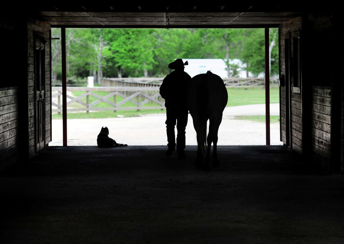 Hiring a veterinarian proves difficult in rural areas
