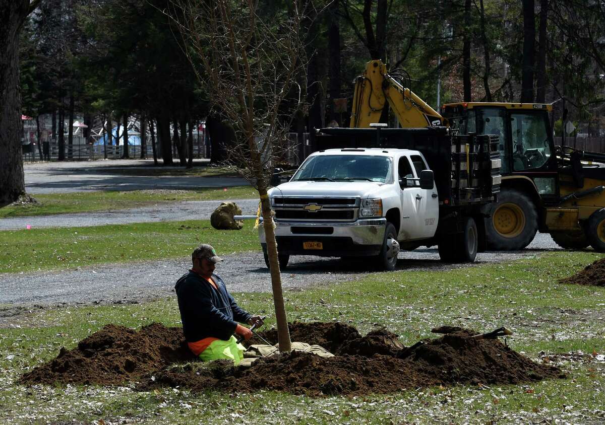 Trees are planted at Saratoga Race Course on Tuesday, April 12, 2016, in Saratoga Springs, N.Y. (Skip Dickstein/Times Union)