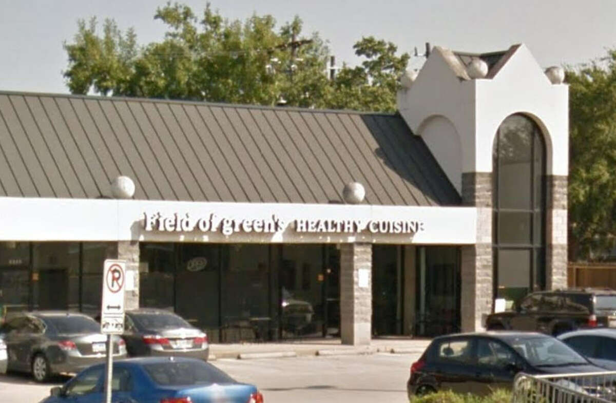 Vegan food festival making its way to Houston for the summer