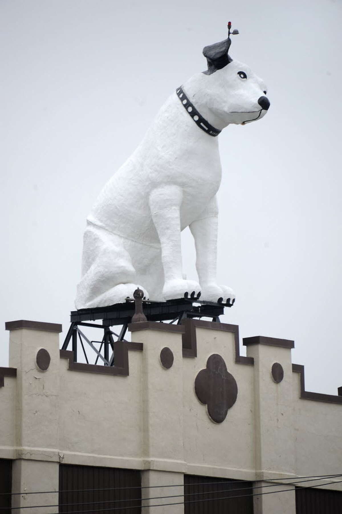 Nipper stands guard over Arnoff Moving and Storage on Broadway in Albany. (File photo)