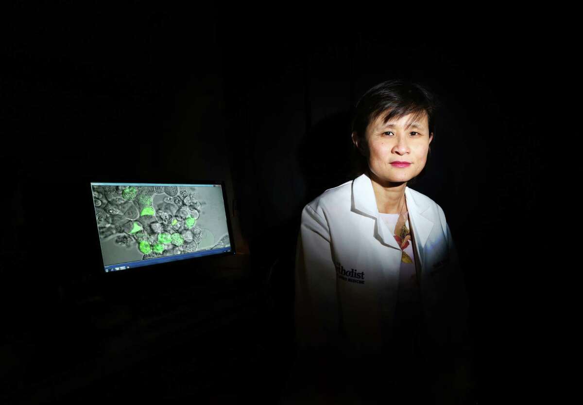 Jenny Chang, director of the Houston Methodist Cancer Center poses for a portrait in her research lab.