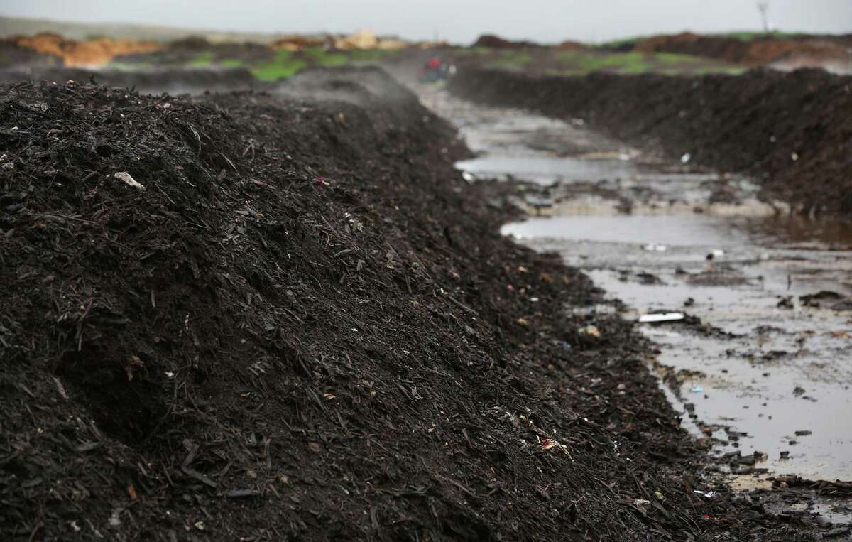A landfill where the wildebeest roams
