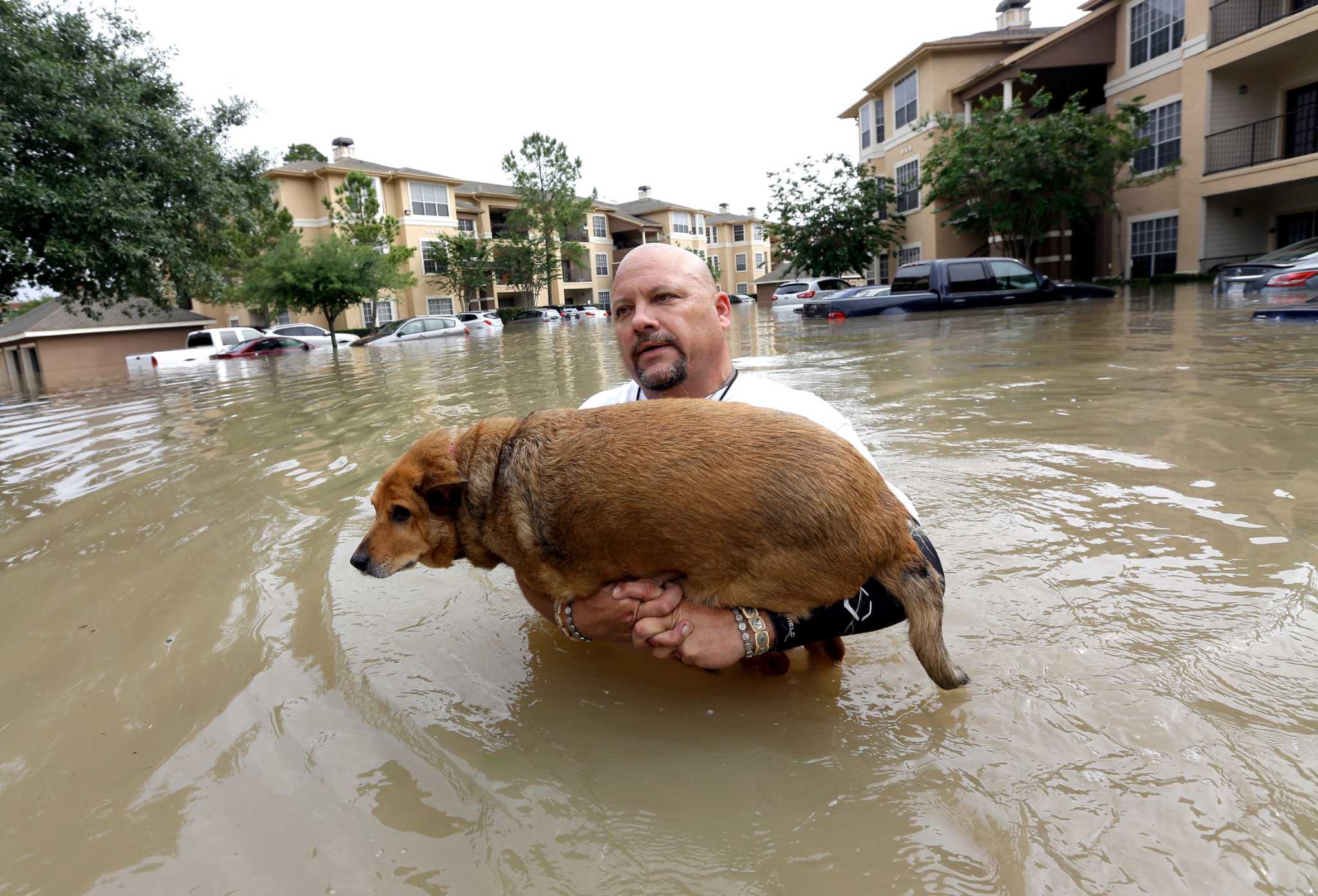 World news photos: A photo that should panic you and more