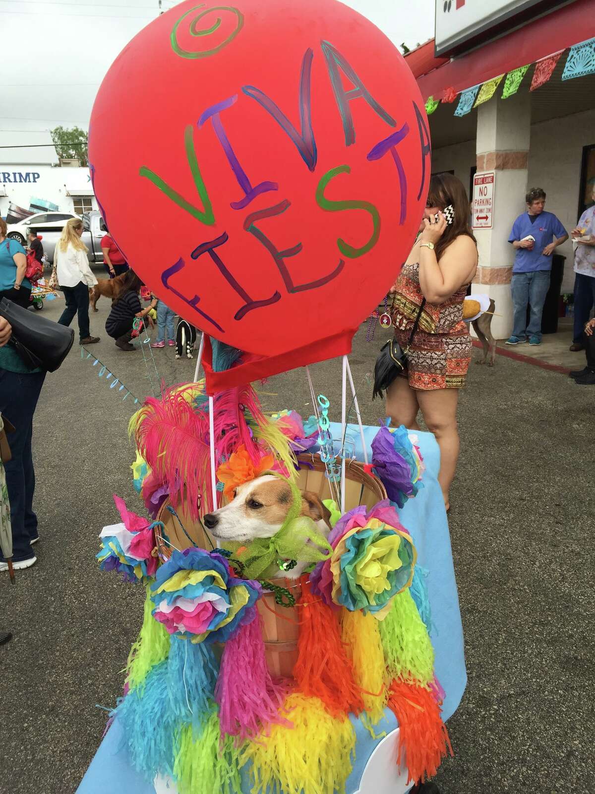 10 pet-friendly events to check out during Fiesta 2017