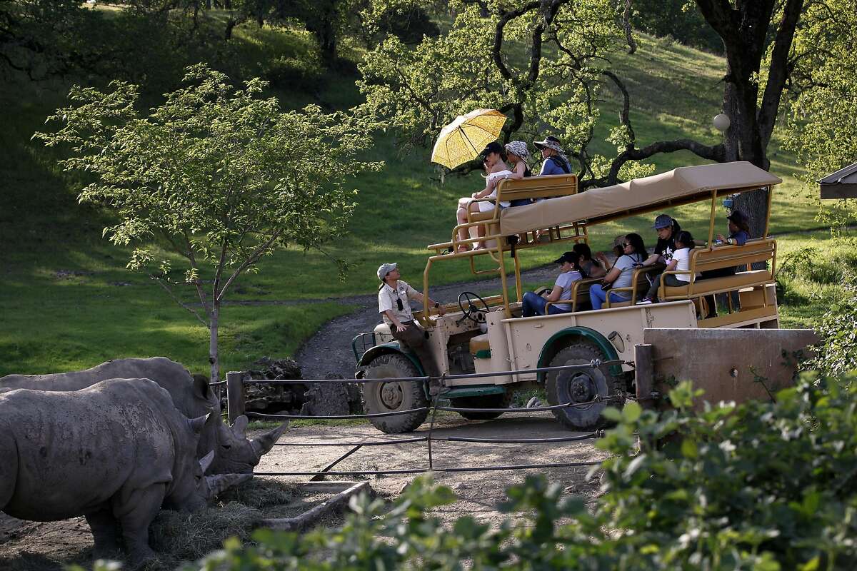 Guests check out the rhinos from a truck at Safari West in Santa Rosa, Calif., on Wednesday, April 6, 2015.