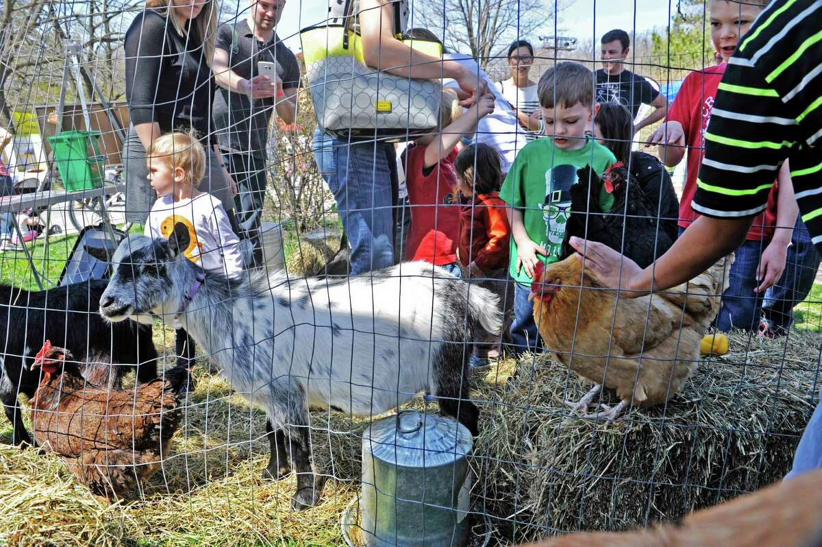 Children pet chickens and goats at a booth set up by RADIX Ecological Sustainability Center during the Earth Day Expo on Sunday, April 17, 2016, in Albany, N.Y. The center is located in the South End of Albany. (Paul Buckowski / Times Union)