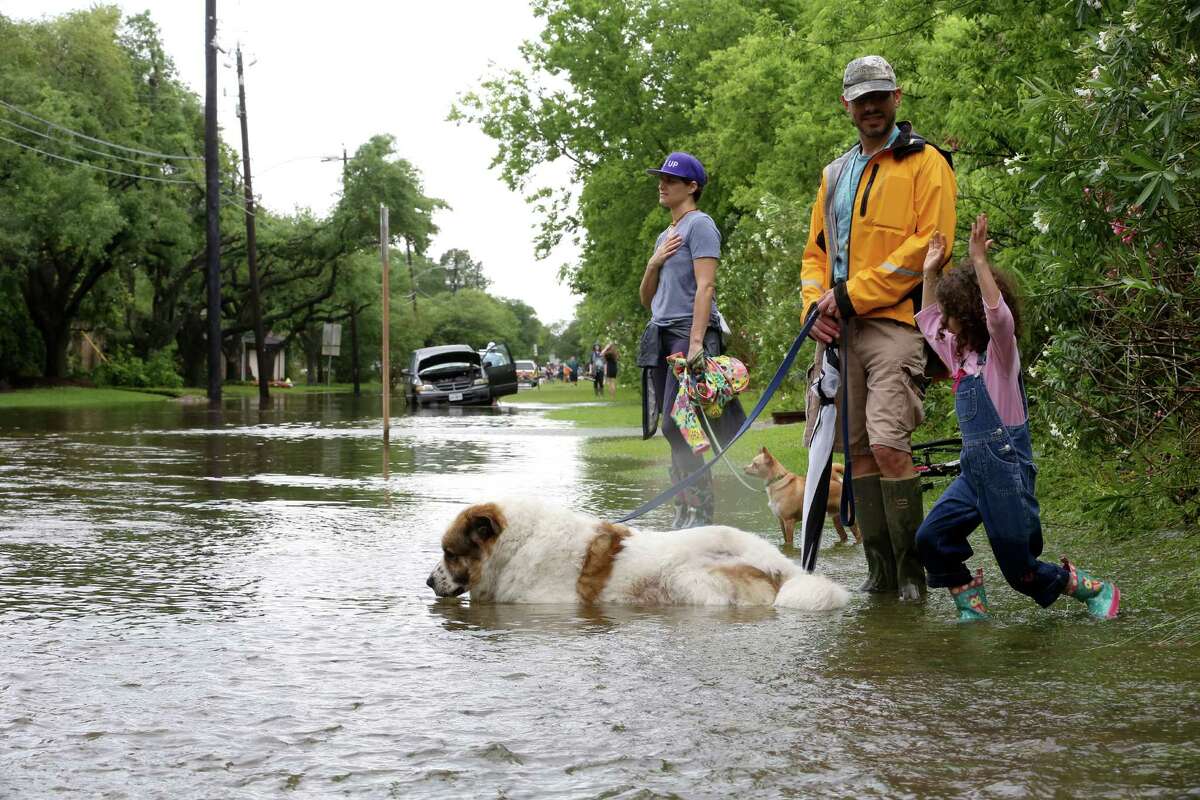 Annabella Zoller, 6, plays with her dad Jason and mother Jessica in floodwaters near Brays Bayou in the Meyerland area, Monday, April 18, 2016, in Houston. ( Jon Shapley / Houston Chronicle )