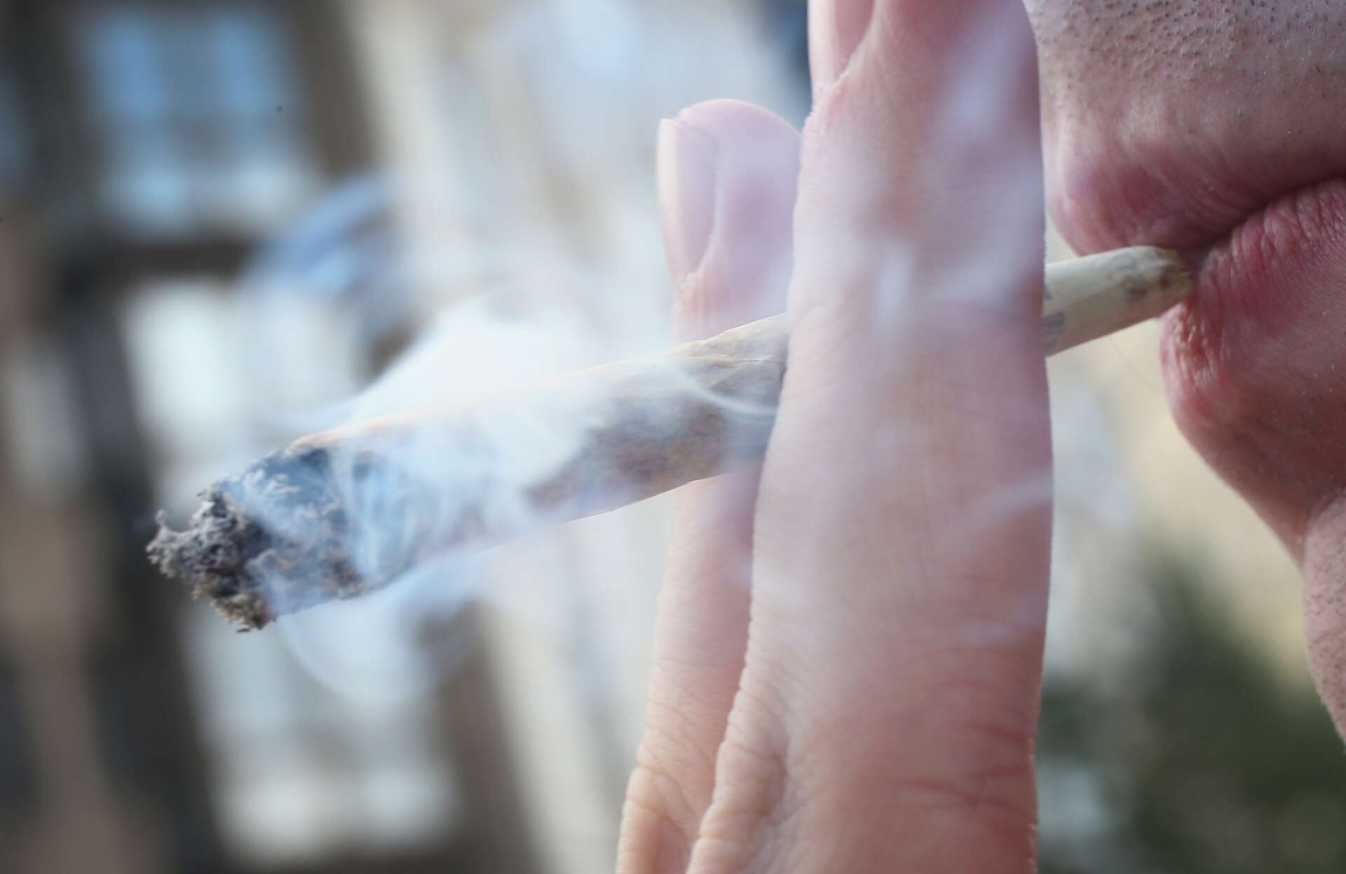 dog ate tobacco pouch Dog's close call with nicotine pouch poisoning