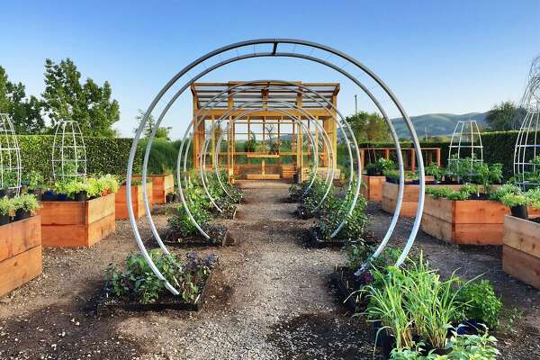 Sunset Magazine S Famed Gardens Rise Again In Sonoma Sfchronicle Com