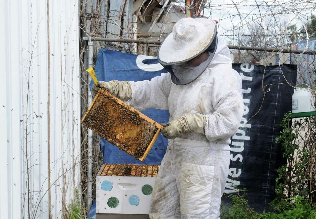 Montrose-area beekeeper Nicole Buergers inspects a honeycomb. Buergers has started her own bee-centered business, the Bee2Bee Honey Collective. Buergers also sells honey at the Third Saturdays' market at East End's Houston Makerspace.