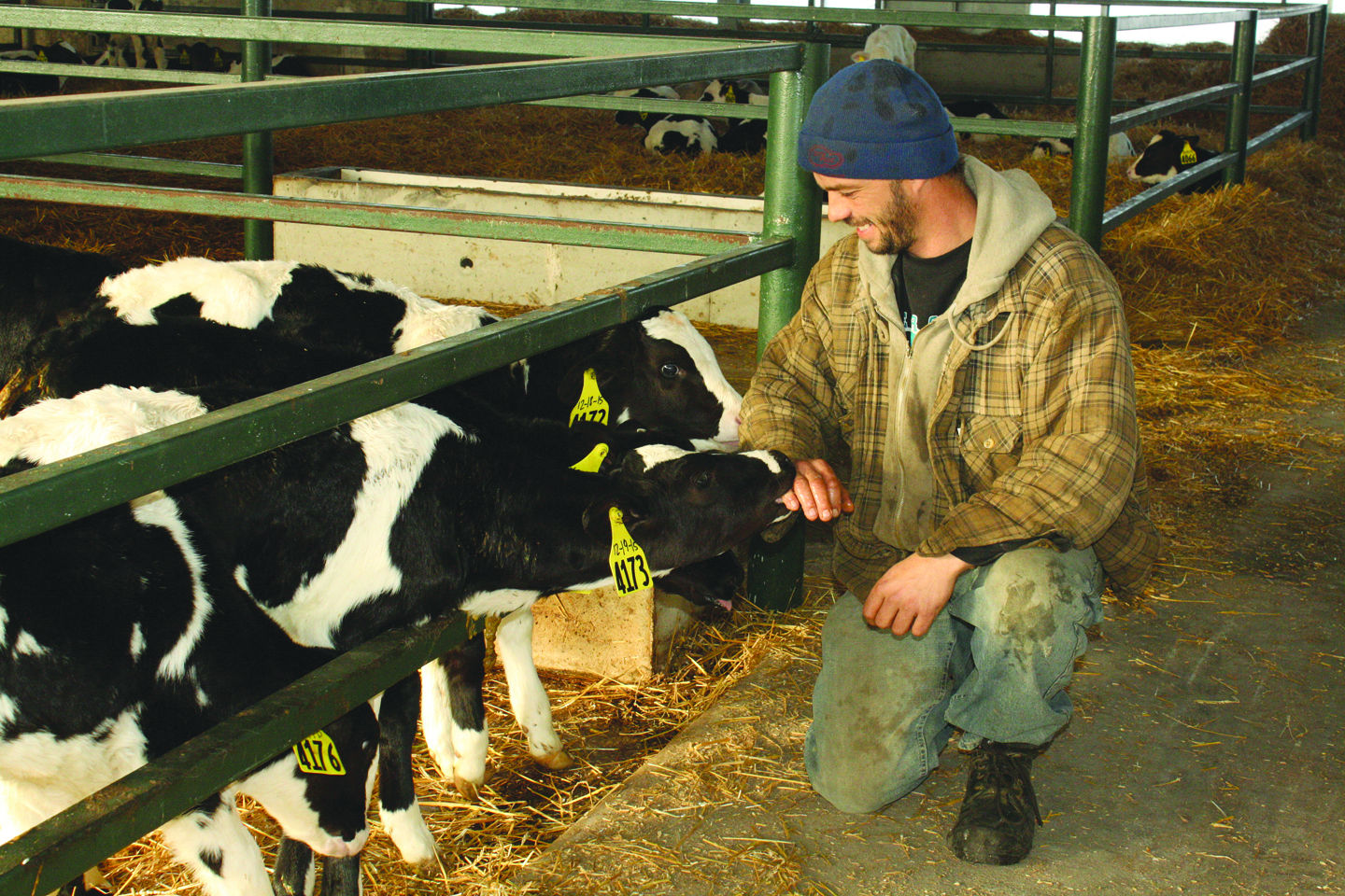 Huron County dairy sales lead Michigan — and industry still growing ...