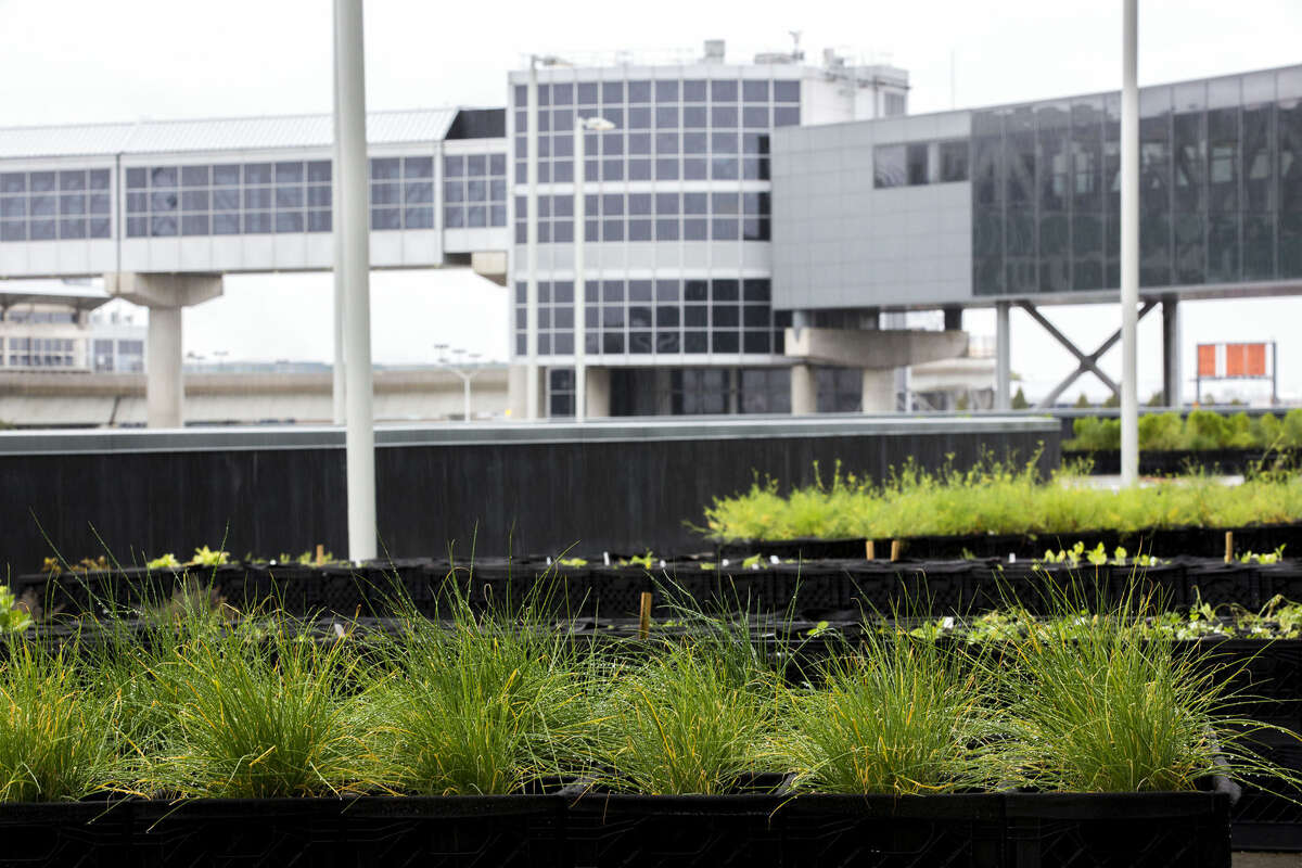 JetBlue plants a seed with farmtotraytable concept