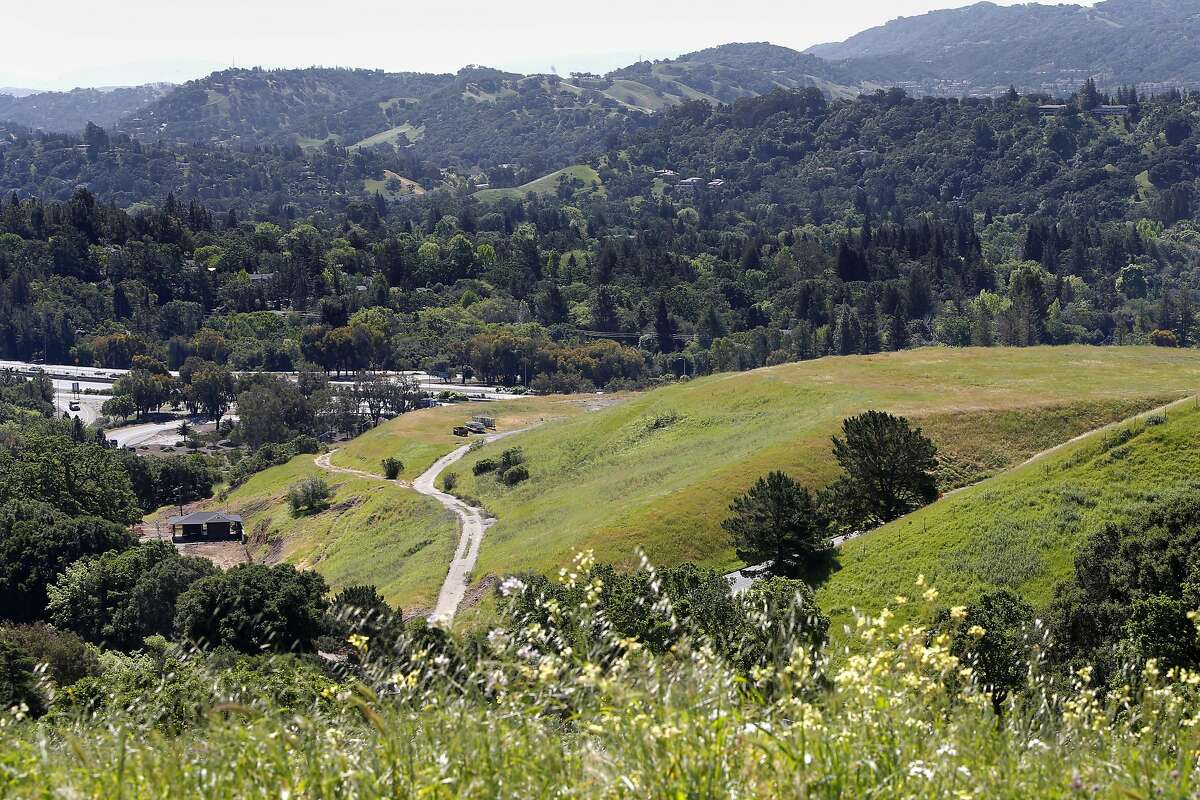 The site of a proposed housing development, (center right) at the south east corner of Pleasant Hill Road and Deer Hill Road in Lafayette, California on Wed. April 20, 2016. Sonja Trauss the founder of the group San Francisco Bay Area Renters Federation filed a suit against the city of Lafayette because they scaled the development originally a 312-unit apartment building way down so to 44 single-family homes.