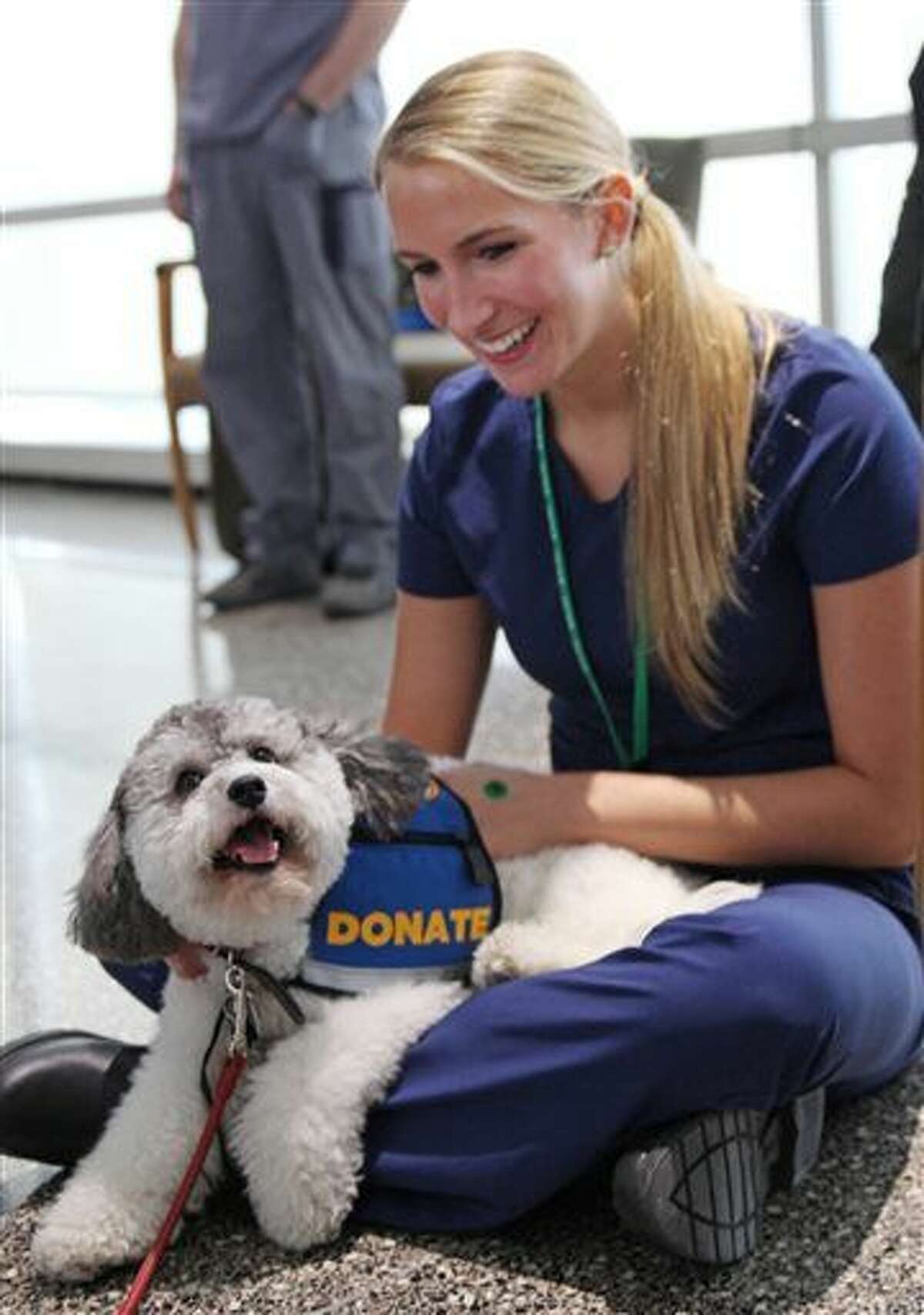 In this Feb. 18, 2016 photo, medical assistant Loren White pets Minnie, a Labradoodle mix at Rush University Medical Center in Chicago. The medical center has offered monthly sessions animal therapy for over a year as an employee health and satisfaction program, using dogs from a local shelter and an animal therapy group. Recently, Rush nurses launched a study to see if the program has tangible effects on employee stress and morale. (AP Photo/Carrie Antlfinger)