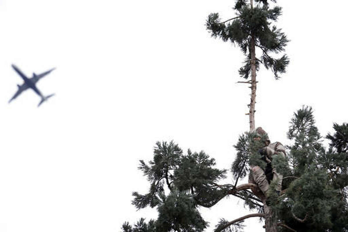 A plane flies past as a man continues to perch near the top of an 80-foot tall sequoia tree Wednesday morning, March 23, 2016, in downtown Seattle. Authorities were alerted to the unidentified man in the tree around 11 a.m. Tuesday and he was still clinging to its branches nearly a day later. The man, name and cause unknown, has transfixed the city and the Internet over the past two days as his action prompted police to close adjacent streets and as negotiators tried to coax him down. (AP Photo/Elaine Thompson)