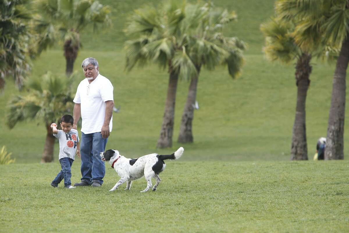 Mateo Diaz (l to r), 3, stands with his grandfather Jorge Perez as he throws a ball for Boris, whose owner Kirsten Dahl (not shown) had him out for a walk, while they visit at Dolores Park on Thursday, April 21, 2016 in San Francisco, California.