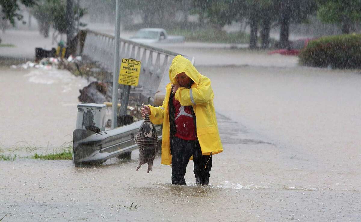 A man rescues an armadillo from high water near Greens Bayou and Greens Road during Monday﻿'s flooding. The photo has gone viral, with many calling it the perfect Houston photo.
