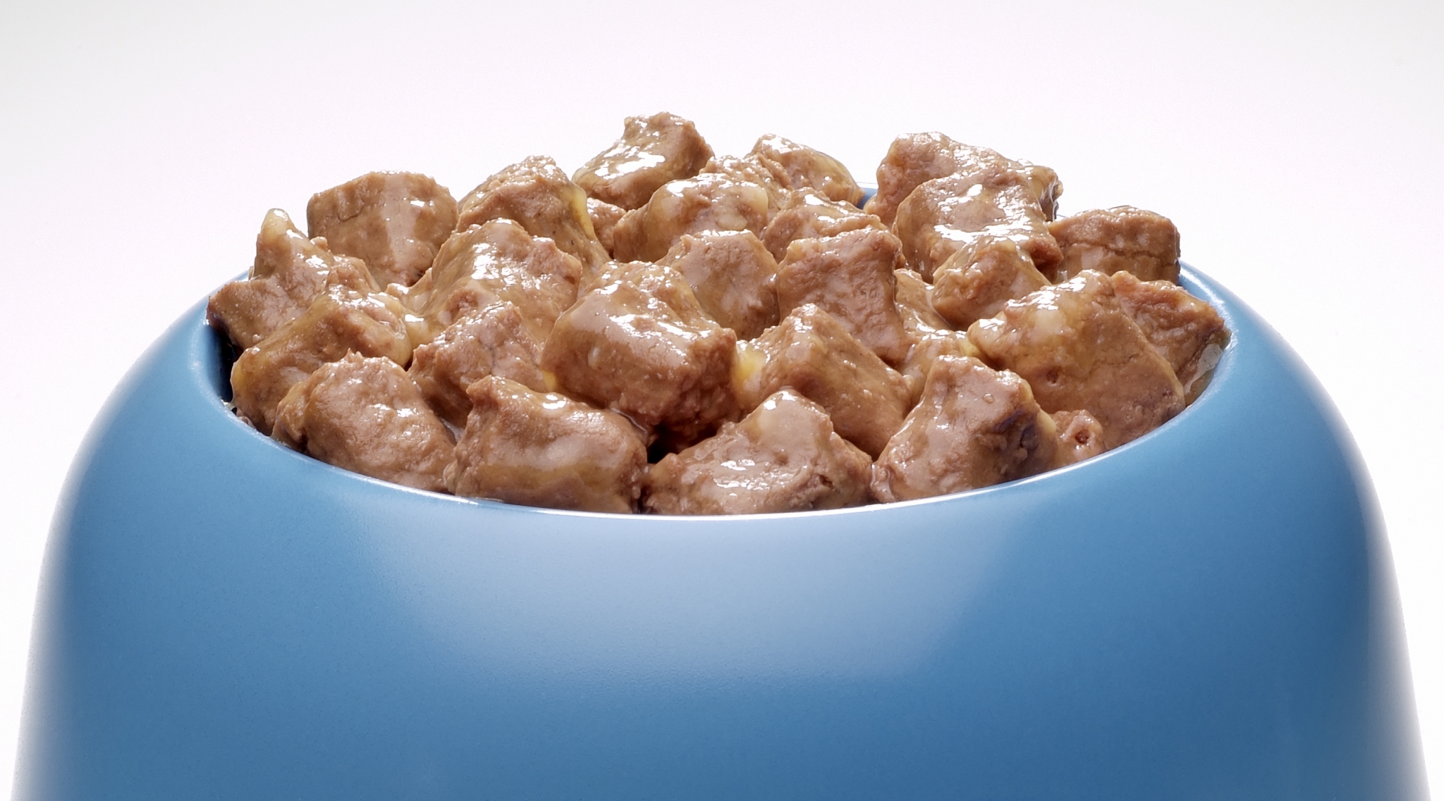 Dog food in Texas contaminated with euthanasia drug, forcing recall