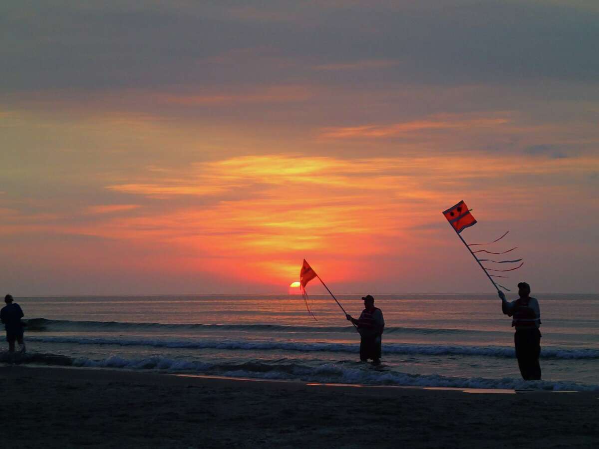 Volunteers wave brightly colored flags during turtle releases to keep birds from sweeping down and snatching up the turtles.