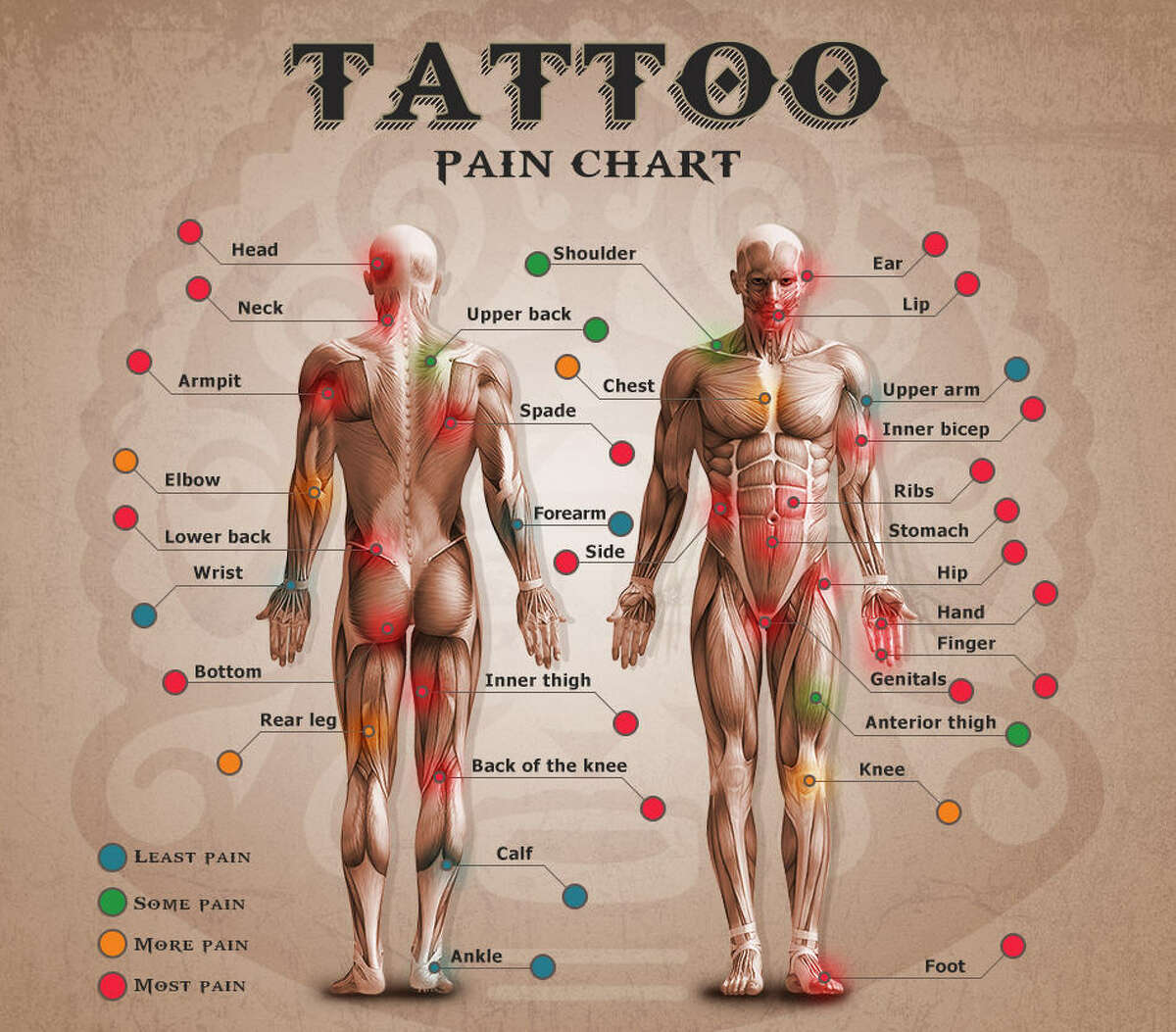 OUCH! Will It Hurt? Tattoo Pain Chart (Female Edition) - Tattoo Glee