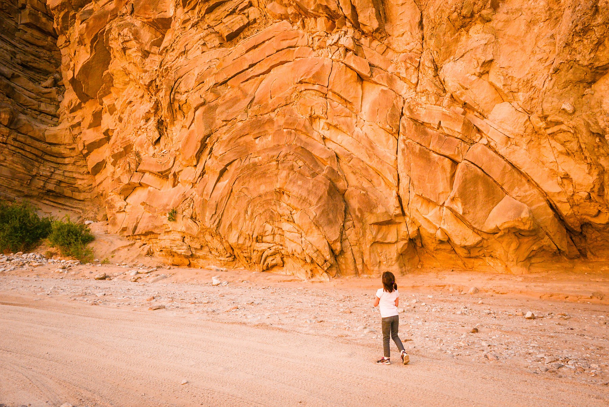 For families, AnzaBorrego offers more than just wildflowers