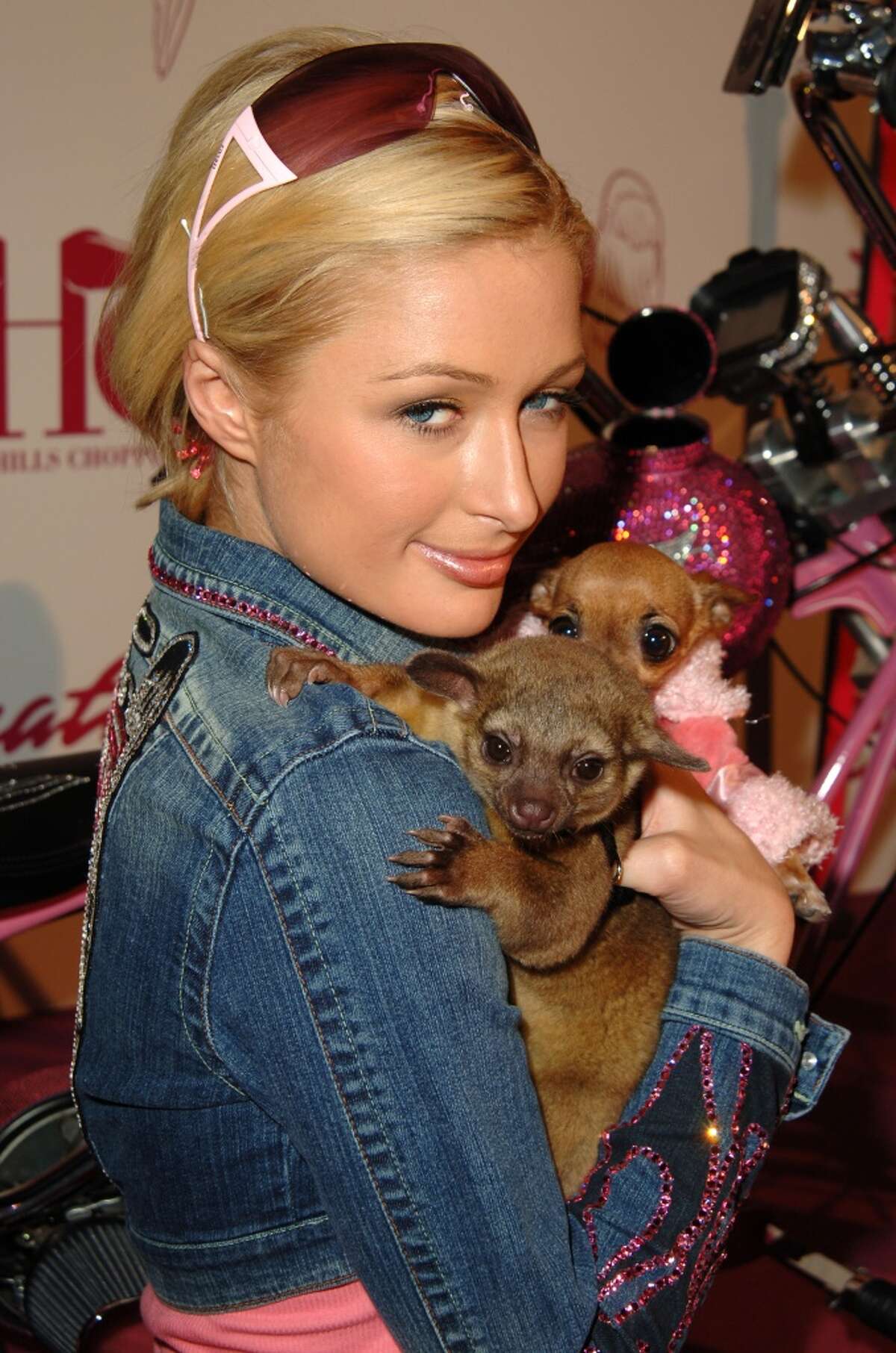 Deer, rabbit or dog? Mystery animal rescued in Katy