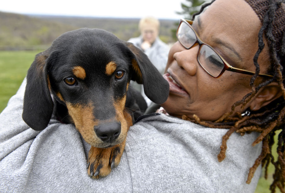 New program at Danbury federal prison benefits inmates and puppies