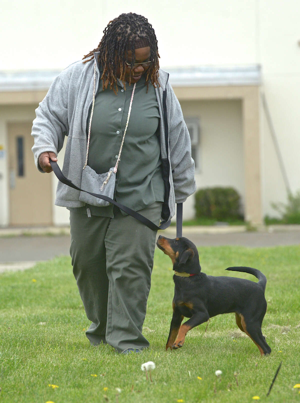 Federal Correctional Institute Danbury Ct 86 - djsuhce