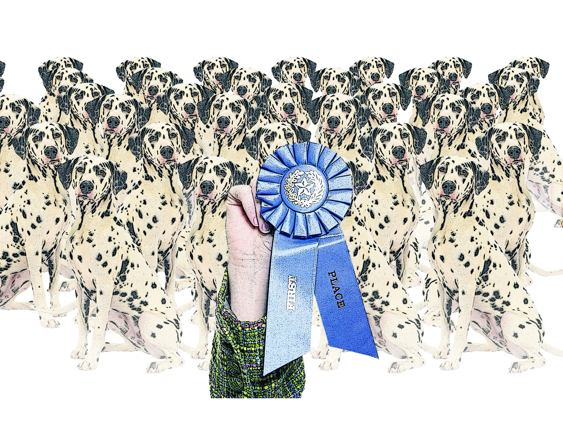 Dog show plays big role in puppy mill cruelty