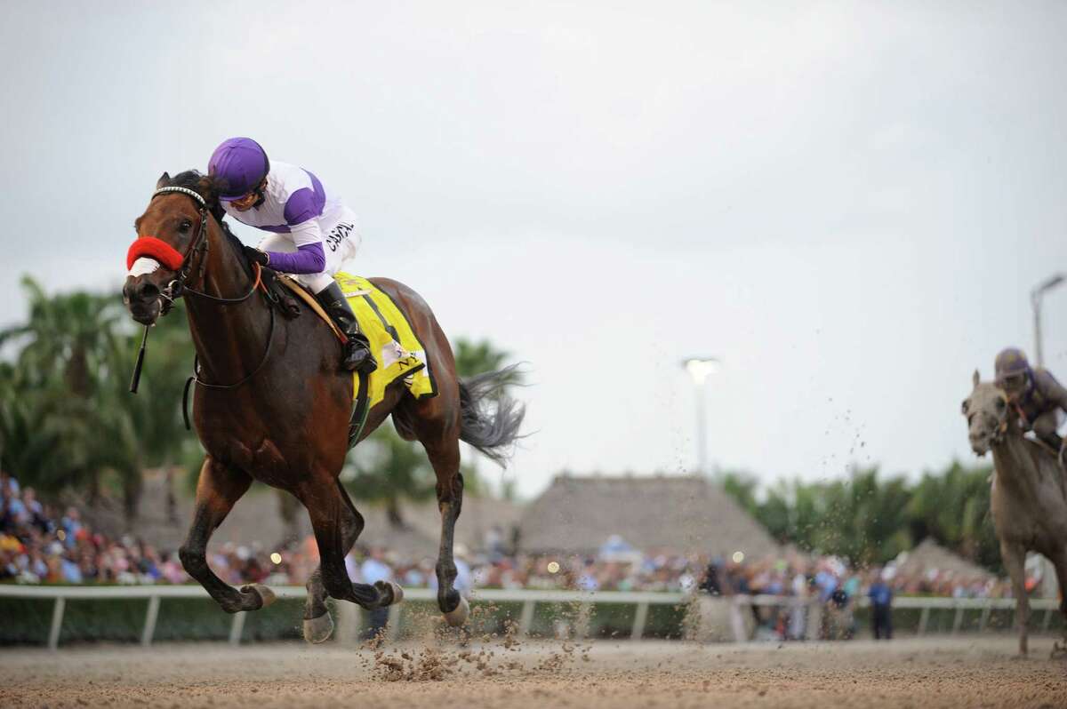 Nyquist is coming off a dominating victory in the Florida Derby, where he took the lead and never looked back, winning by 31/4 lengths.