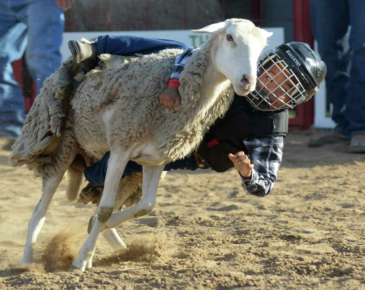 136th Annual Guadalupe County Fair and Rodeo happens this week in Seguin