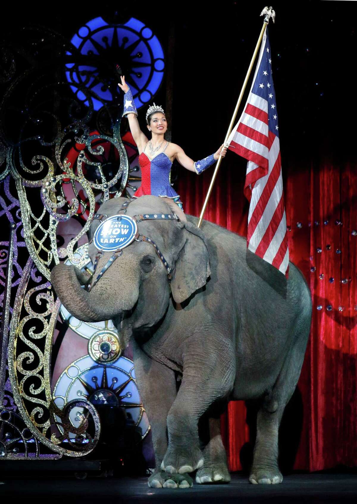 An Asian elephant performs during the national anthem for the final time in the Ringling Bros. and Barnum & Bailey Circus Sunday, May 1, 2016, in Providence, R.I. the The circus closes its own chapter on a controversial practice that has entertained audiences since circuses began in America two centuries ago. The animals will live at the Ringling Bros. 200-acre Center for Elephant Conservation in Florida. (AP Photo/Bill Sikes)
