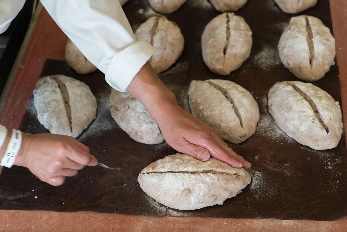 One Day, One Place Los Altos