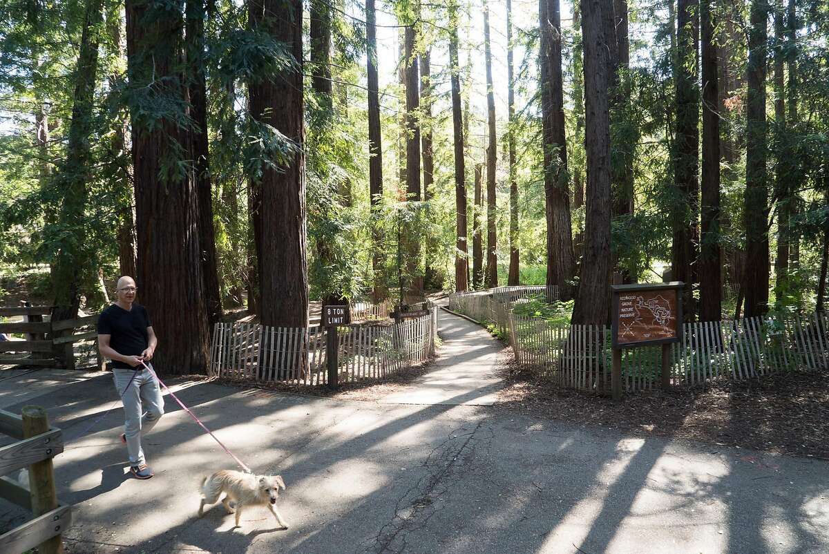 One Day, One Place Los Altos