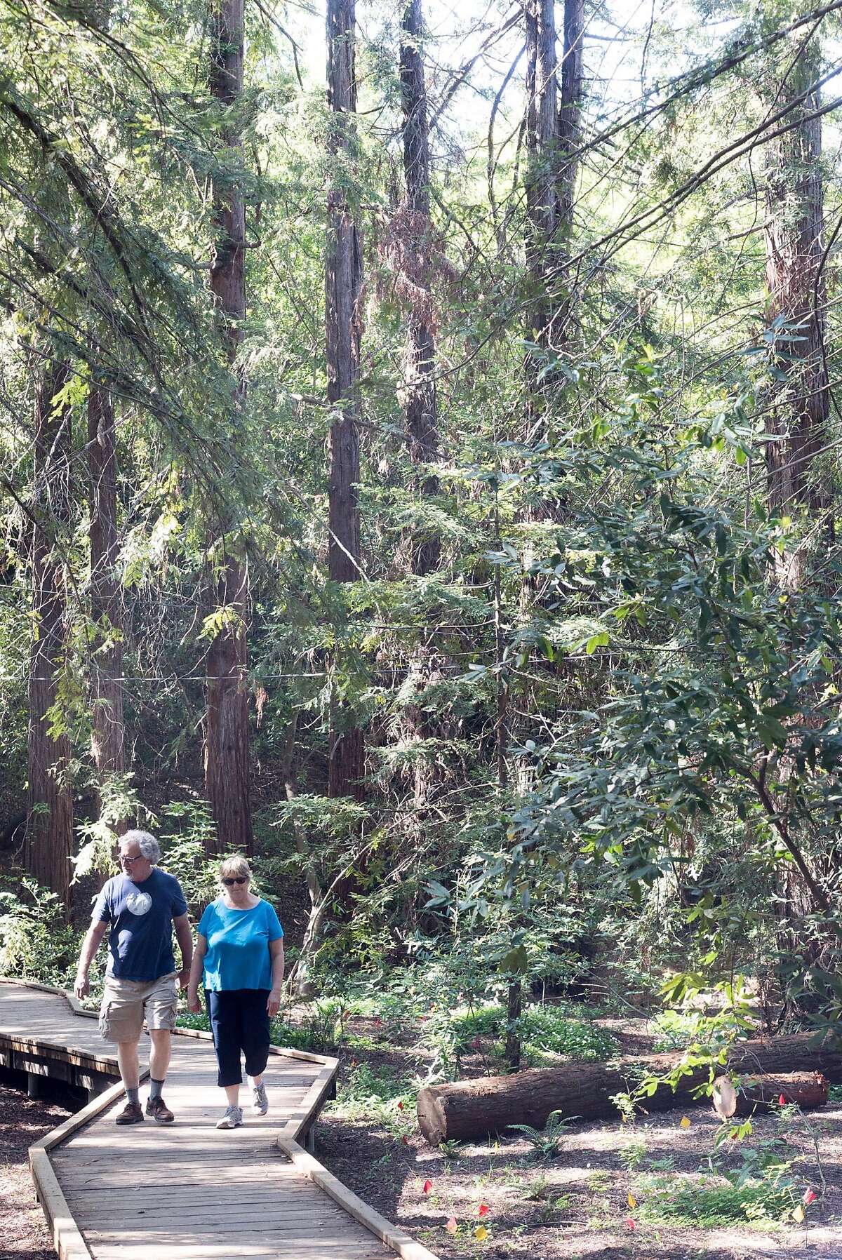 The best places to live in the Bay Area