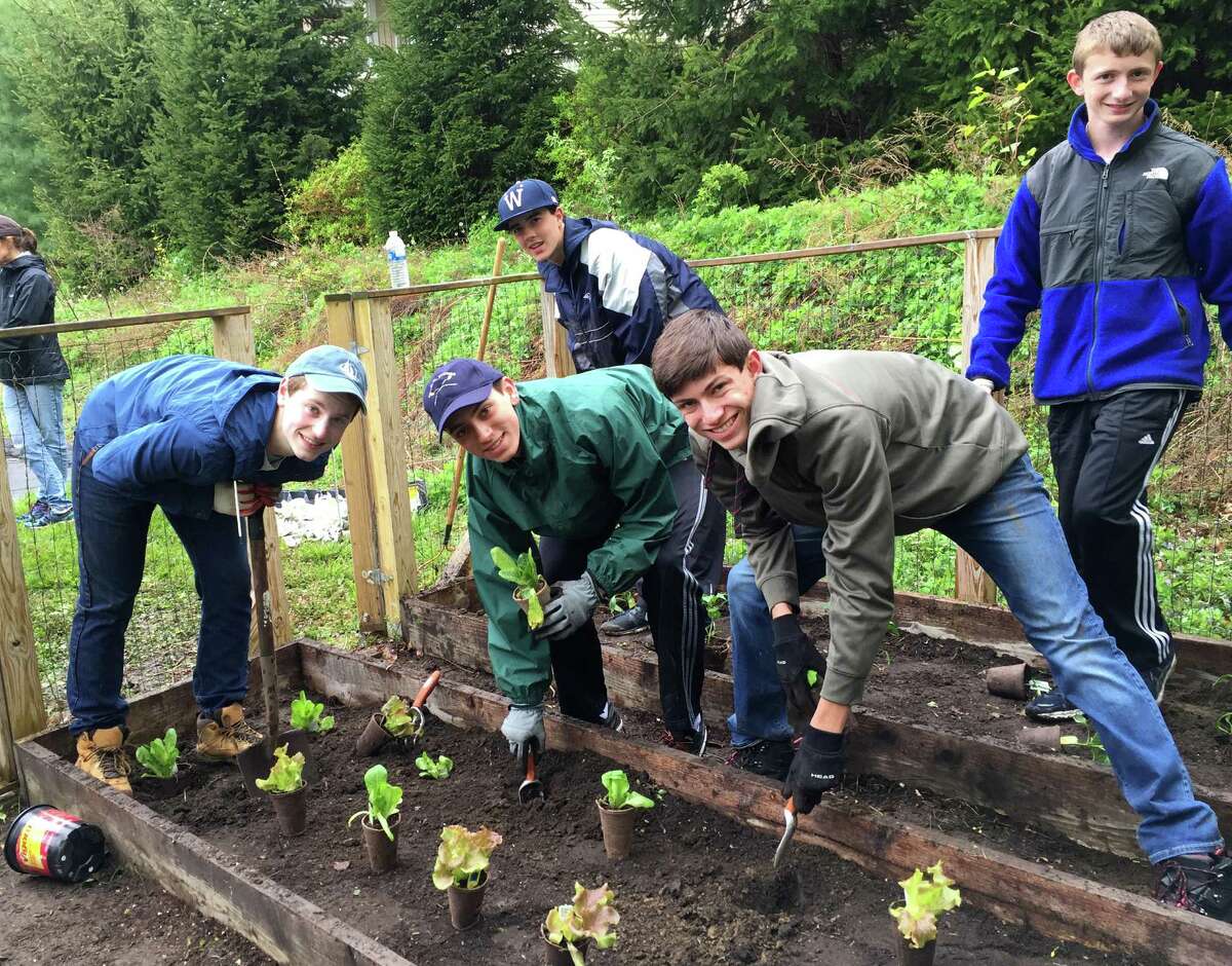 Westport cleaned up by SLOBS