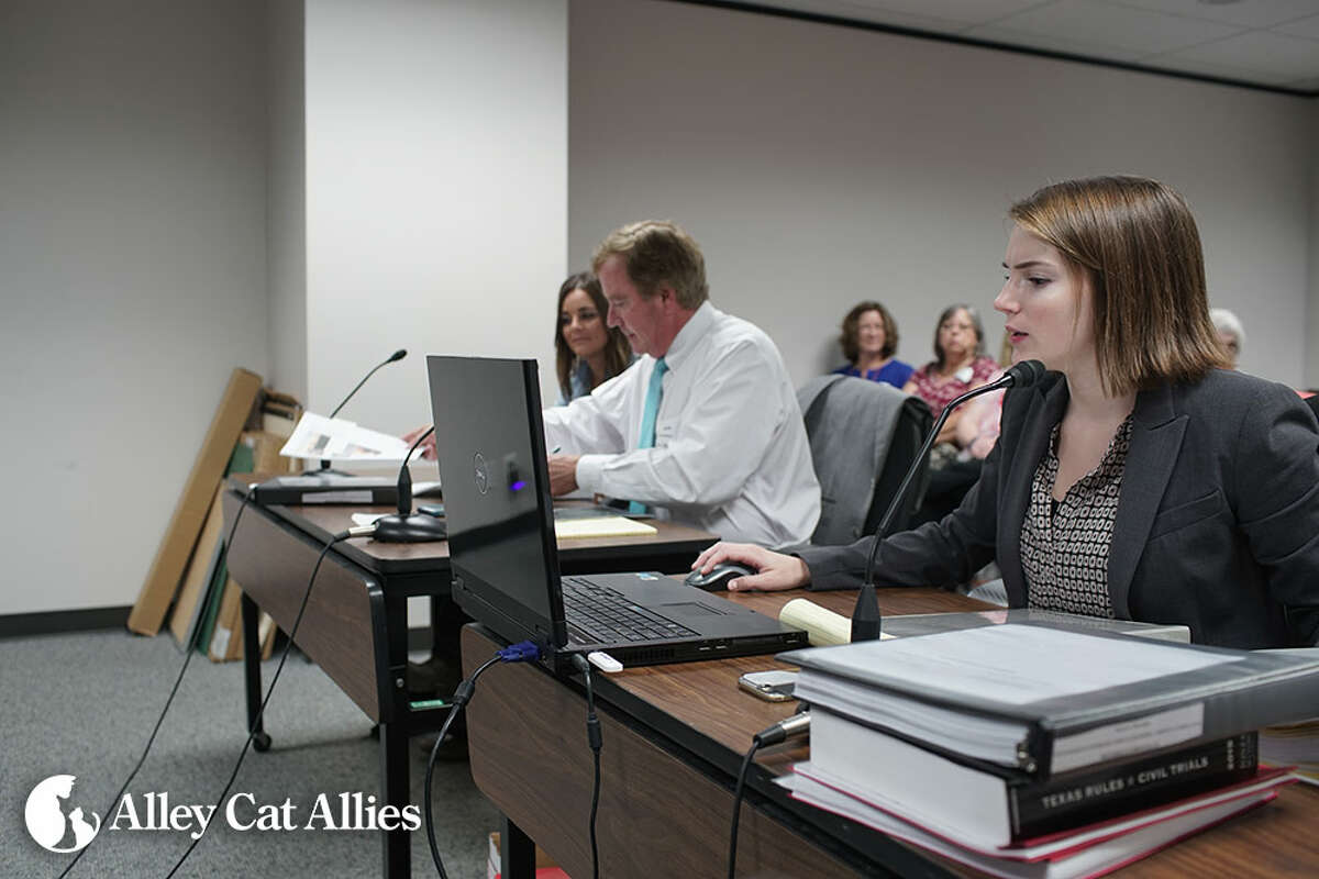 Texas Vet Who Killed Cat With Arrow Posed For Photo Cant Practice For 1 Year Board Decides