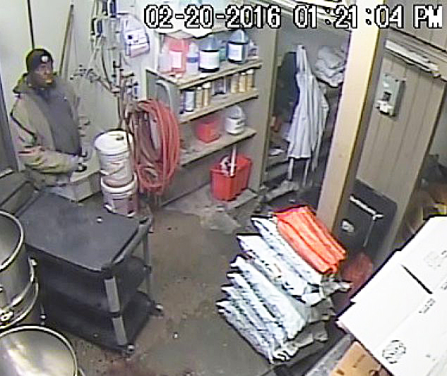 Cops Use Video To Track Down Pizzeria Theft Suspect