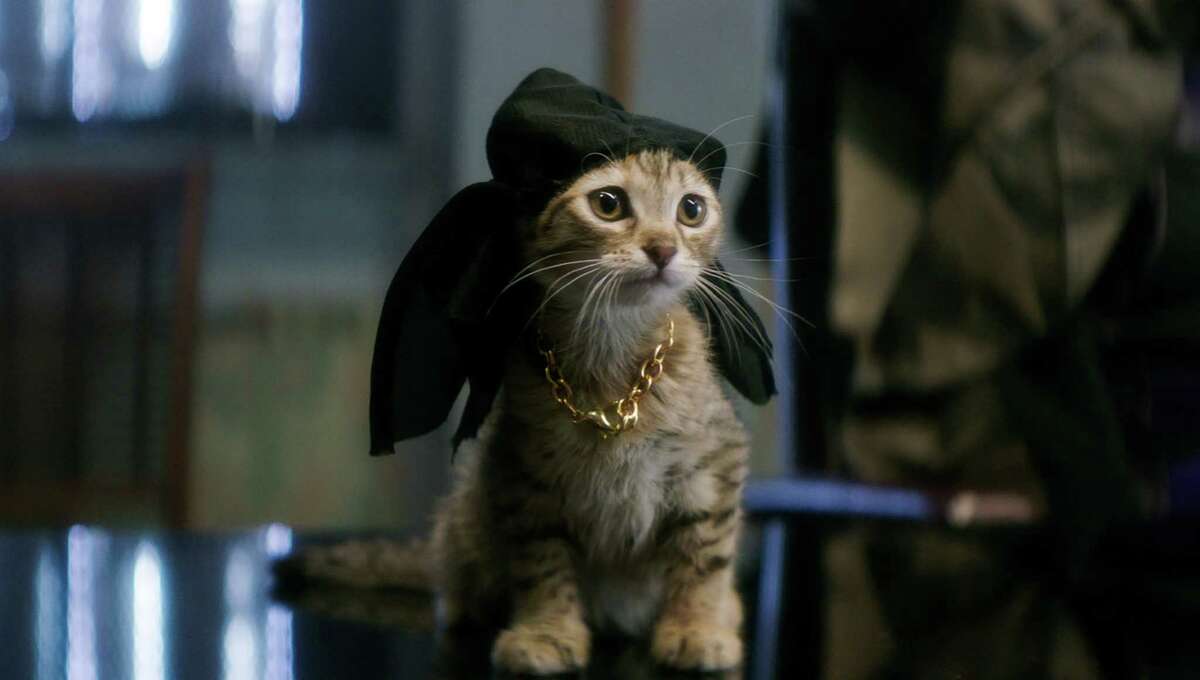 "Keanu" rode the tail of an adorable kitten to No. 3 on the box office list.