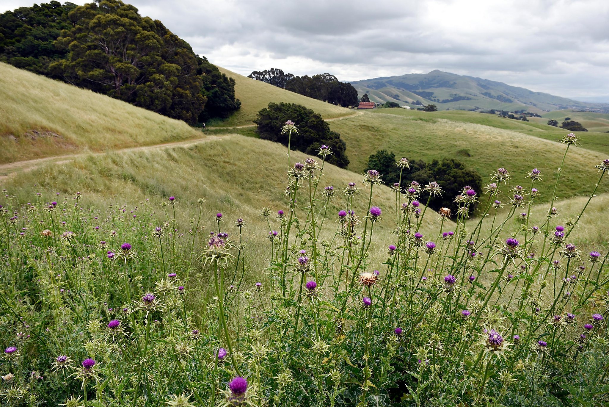 Sunday Getaway To Vargas Plateau Regional Park