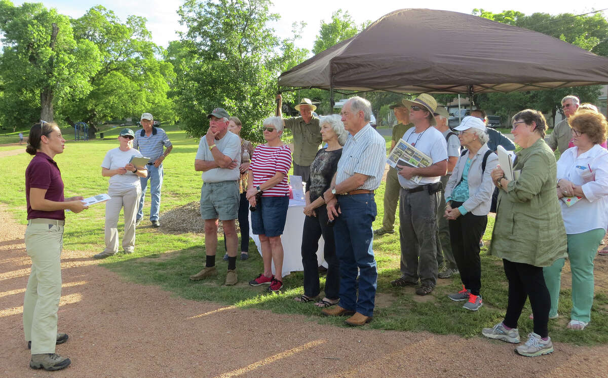 Hill Country partnership going after invasive tall cane